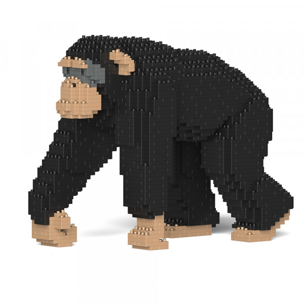 Jekca - Schimpanse