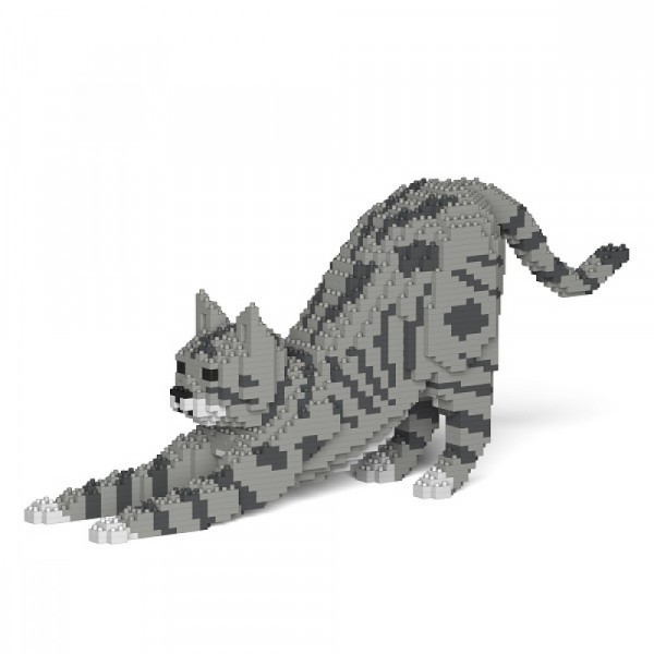 Jekca - Katze grau