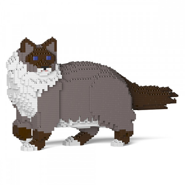 Jekca - Ragdoll Cat