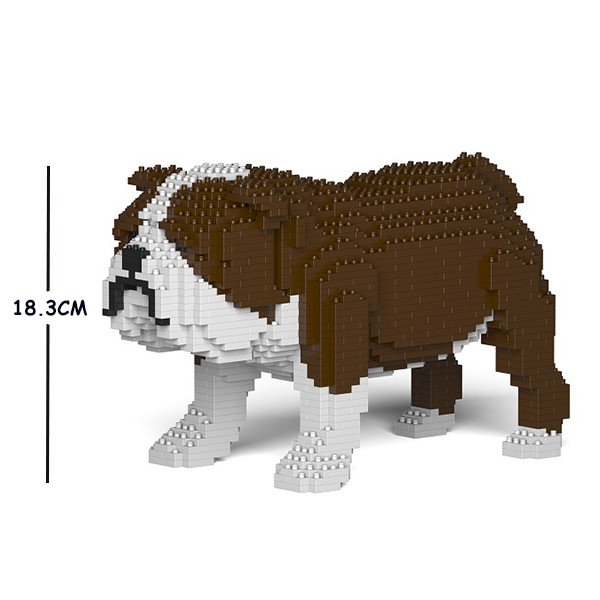 Jekca - English Bulldog