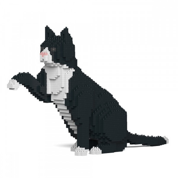 Jekca - Tuxedo Cat
