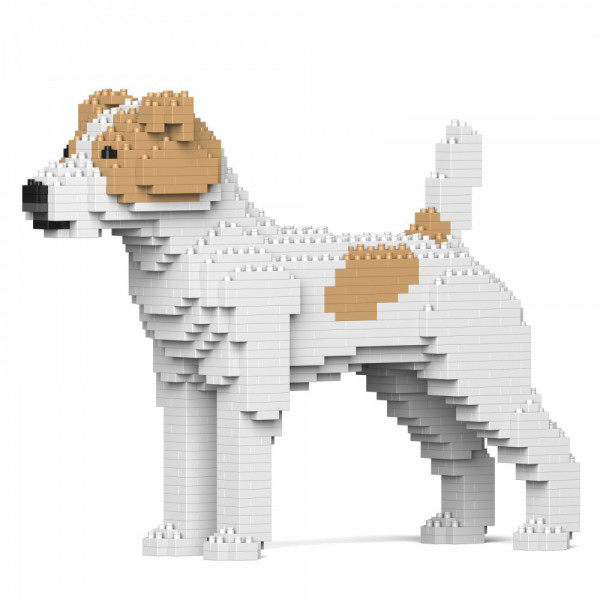 Jekca - Jack Russell Terrier