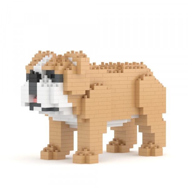Jekca - English Bulldog Mini